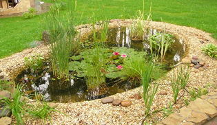Ogródek wodny