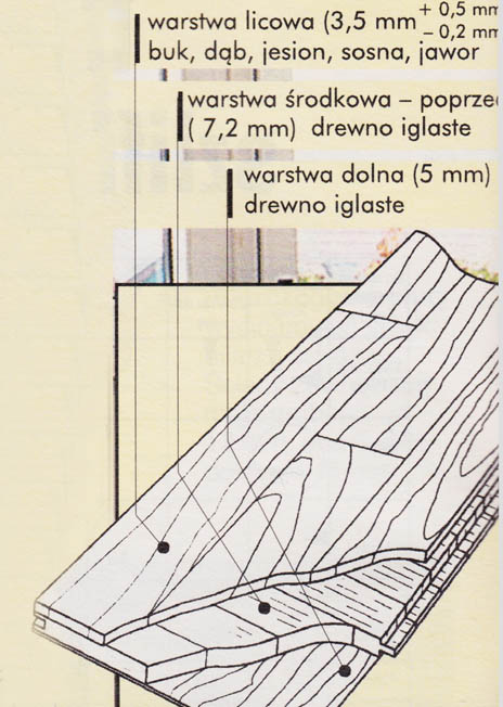 Konstrukcja Barlineckiej Deski Podłogowej